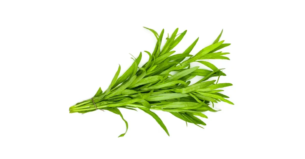 Supreme Resources Estragón