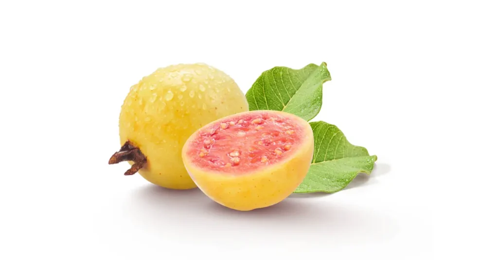 Supreme Resources Guayaba