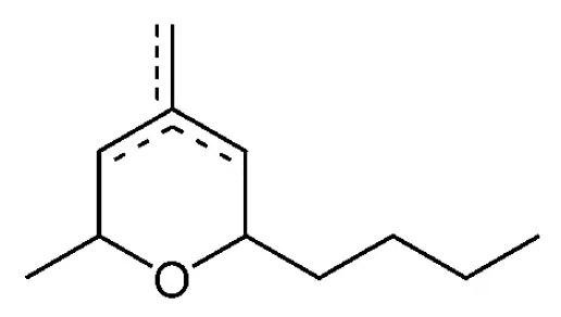 Supreme Resources Gyrane