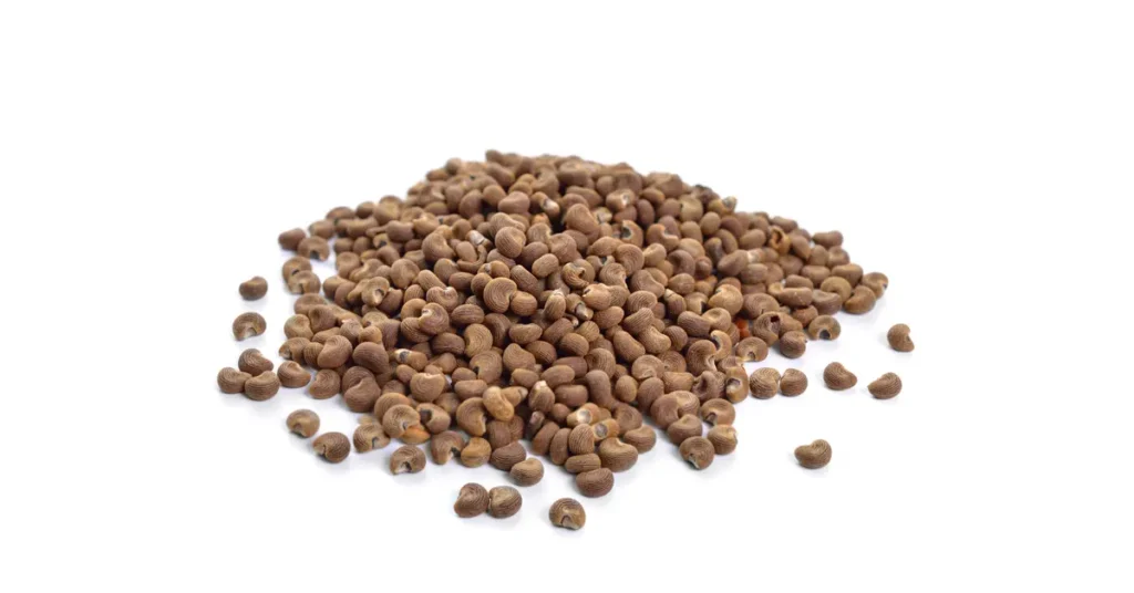 Supreme Resources Semillas de Ambreta