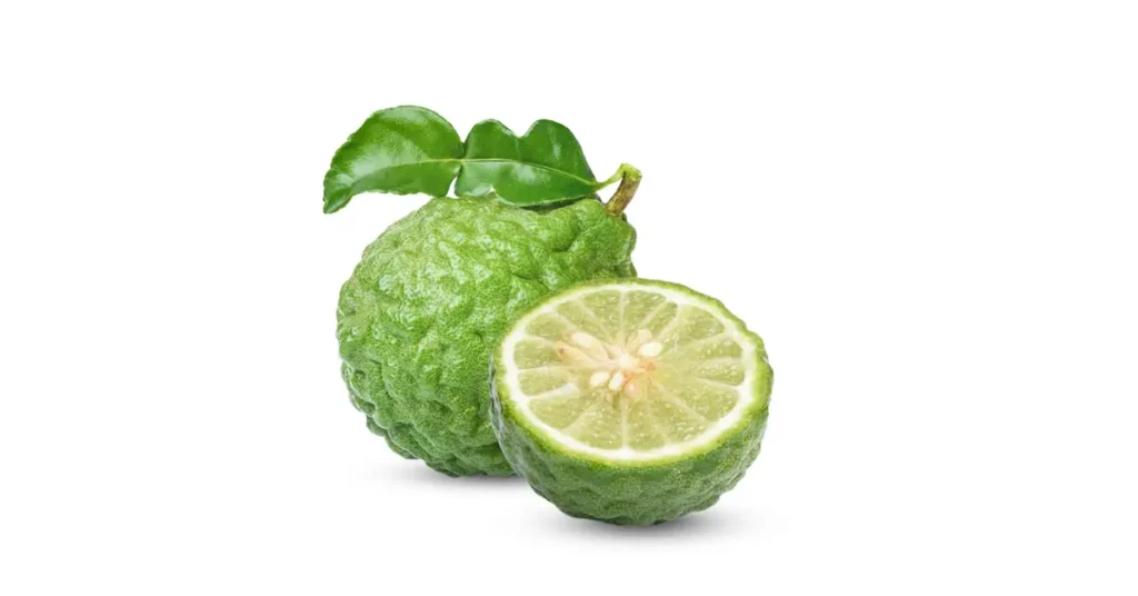 Supreme Resources Bergamota