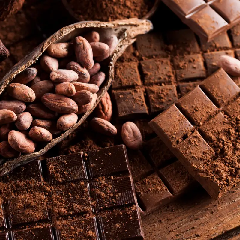 Supreme Resources Notas Cacao 2026