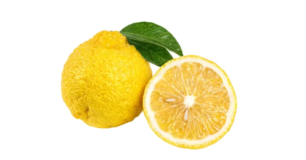 Supreme Resources Yuzu